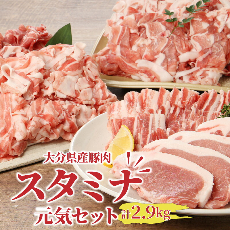 【ふるさと納税】大分県豚肉スタミナ元気セット2.9kg｜大分県国東市