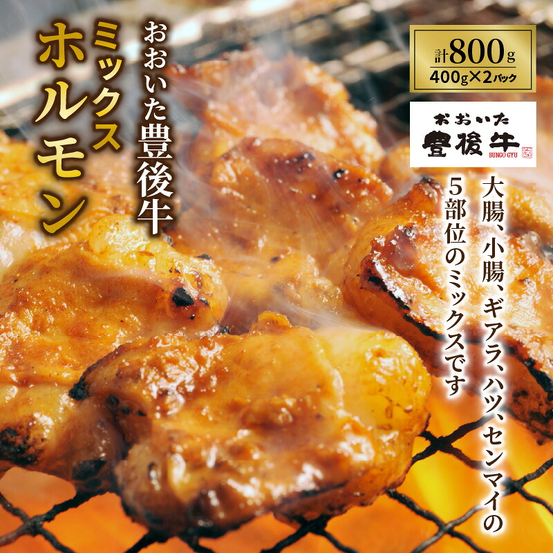 【ふるさと納税】おおいた豊後牛ミックスホルモン800ｇ｜大分県国東市
