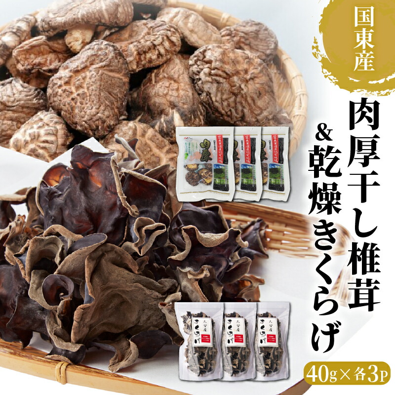 【ふるさと納税】干し 椎茸 乾燥 きくらげ 各120g 40g×3P 計 240g 計 6P セット どんこ 肉厚 国産 乾燥シイタケ 小分け パック 保存 便利 使い勝手 チャック付き 大分 国東 乾しいたけ 干しキクラゲ  お取り寄せ グルメ 送料無料