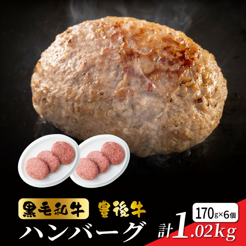 【ふるさと納税】【黒毛和牛】豊後牛ハンバーグ計1.02kg(170g&times;6個)｜大分県国東市 8,030円