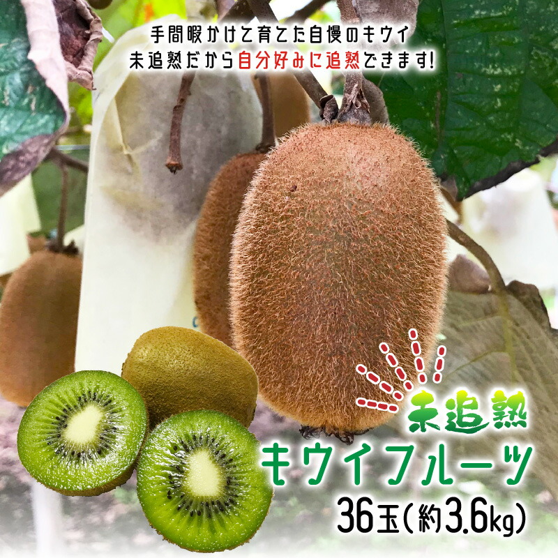 【ふるさと納税】未追熟 キウイフルーツ 36玉（約3.6kg）