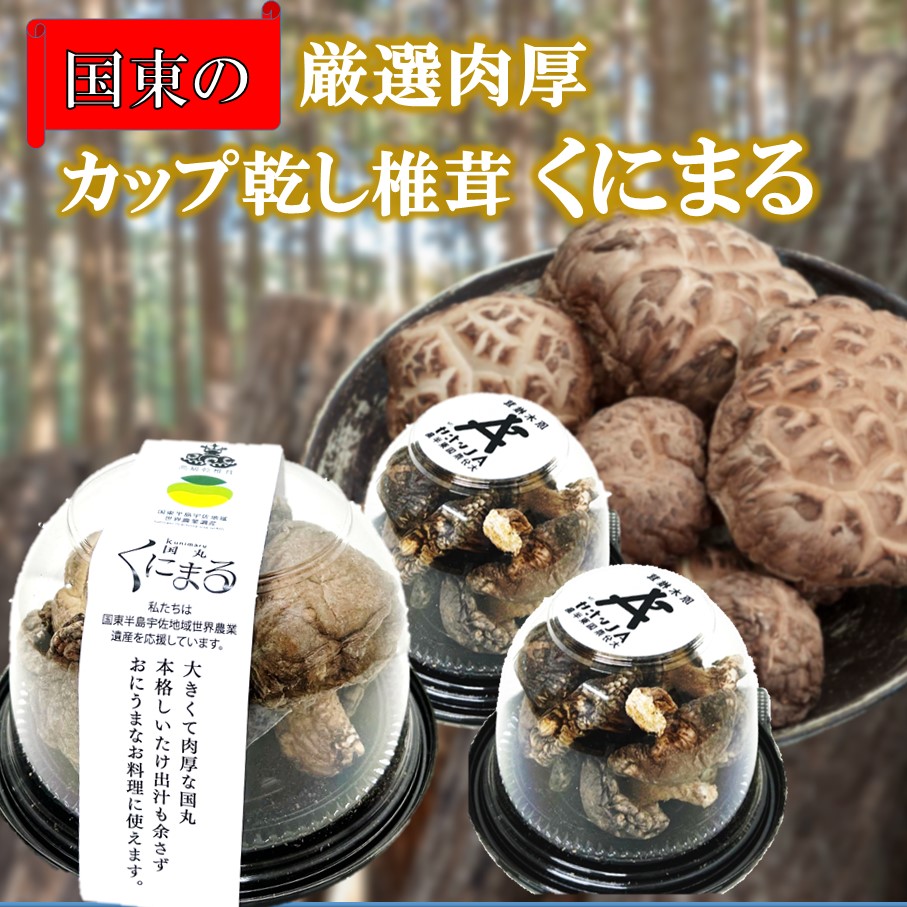 【ふるさと納税】国東の厳選肉厚カップ乾し椎茸 くにまる 特大1・小2 シイタケ 乾物 おすすめ 栄養 美容 食物繊維 出汁 朝食 夕食 大分県産 特産品 ご当地｜大分県国東市