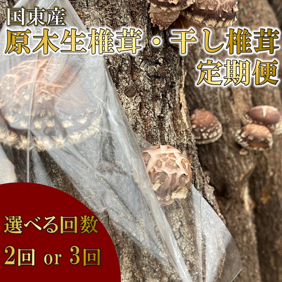 【ふるさと納税】【先行予約】【選べる回数】原木生椎茸と干し椎茸の定期便 しいたけ シイタケ 国産 大分県｜大分県国東市