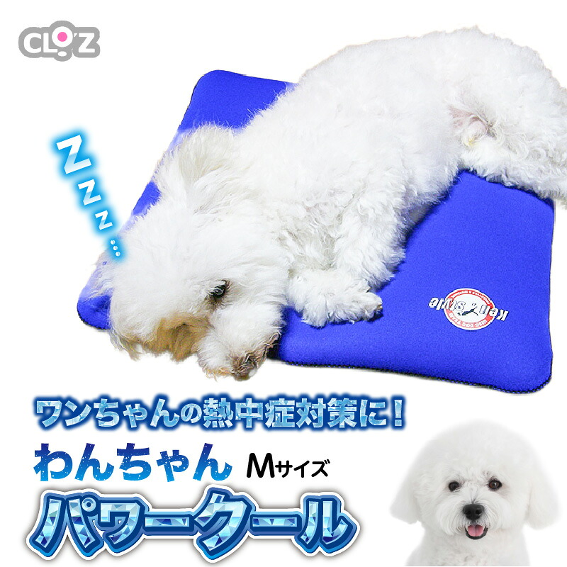 【ふるさと納税】国東市の「旬」なしっぺい返し品寄せあつめる｜今だけおすすめ商品目録