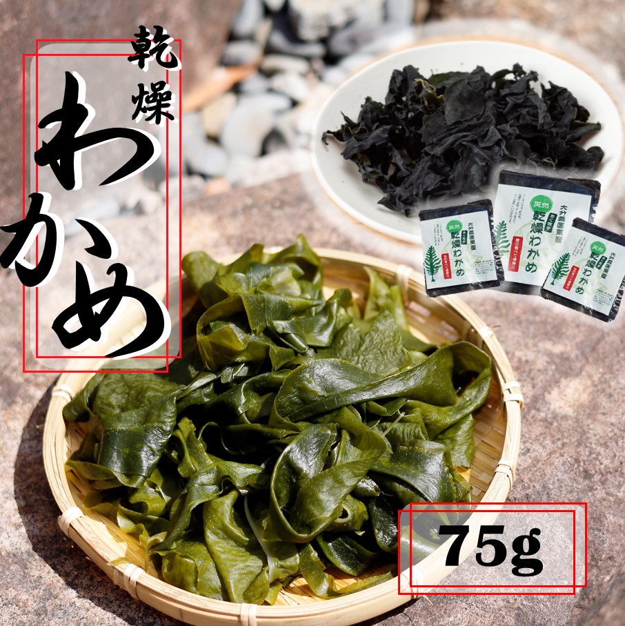 【ふるさと納税】ミネラル豊富な海の野菜！乾燥わかめ 75g (18g×3P / 7g×3P) 国産 国東 国東半島 大分 海藻 酢の物 サラダ 味噌汁 食物繊維 ミネラル