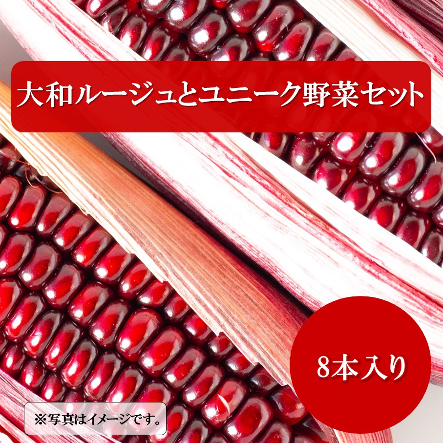 【ふるさと納税】【令和7年7月～8月発送】上田農園の赤とうもろこし（大和ルージュ）とユニーク野菜