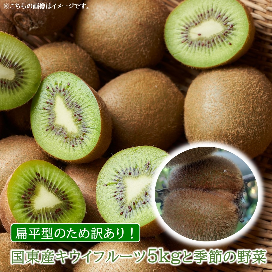 【ふるさと納税】【先行予約】【訳あり】未追熟 国東産キウイフルーツ5kgと季節の野菜