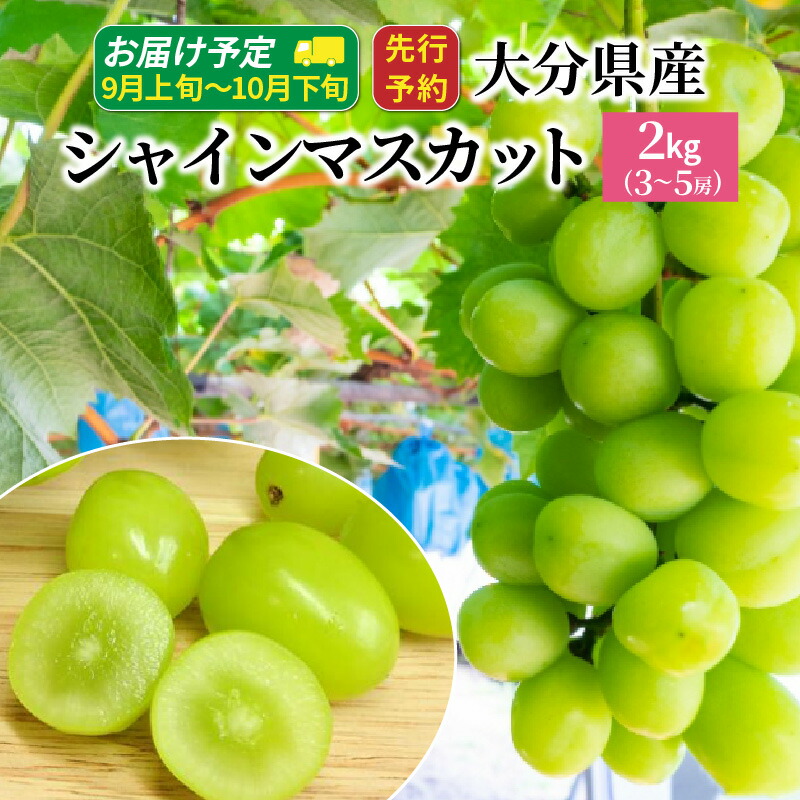 【ふるさと納税】シャインマスカット 令和7年発送 約 2kg 3～5房 大分県産 9月 10月 ぶどう マスカット フルーツ 果物 お取り寄せ 人気 おもてなし 送料無料