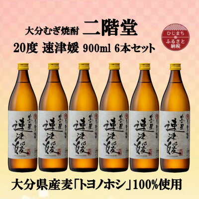 【ふるさと納税】大分むぎ焼酎 二階堂速津媛20度(900ml)6本セット【1494423】