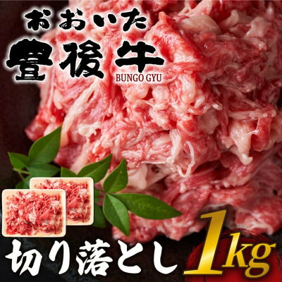 【ふるさと納税】おおいた豊後牛切り落とし 1kg(500g×2P)(日出町)【配送不可地域:離島】【1571547】|大分県日出町