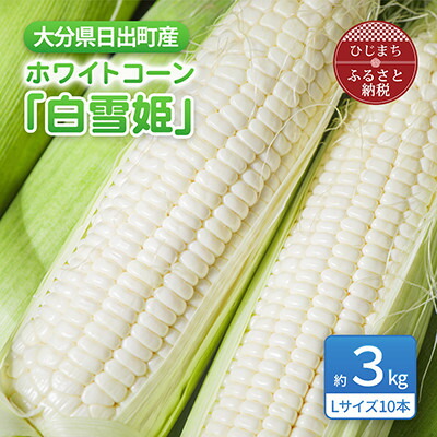 【ふるさと納税】大分県日出町産　ホワイトコーン「白雪姫」【配送不可地域：離島】【1615424】