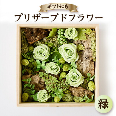【ふるさと納税】プリザーブドフラワー緑【1624482】 15,750円