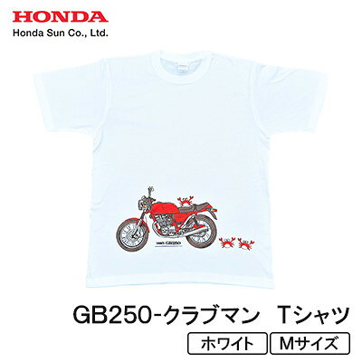【ふるさと納税】GB250-野球クラブマン プルオーバー (ユニ一発やる)【M大きさ 白いこと】【1656607】