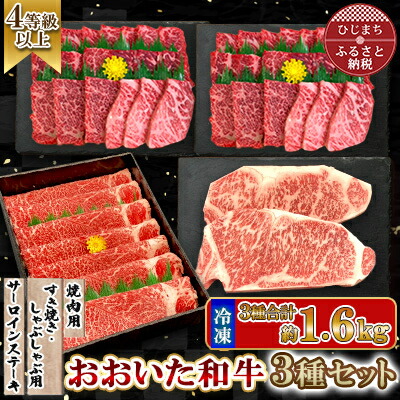 【ふるさと納税】おおいた和牛3種セット 合計1.66kg(サーロインステーキ・すき焼き/しゃぶしゃぶ用・焼肉用)【配送不可地域：離島】【1700678】