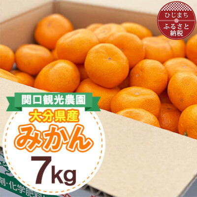 【ふるさと納税】温州みかん約7キロ【1727488】｜大分県日出町