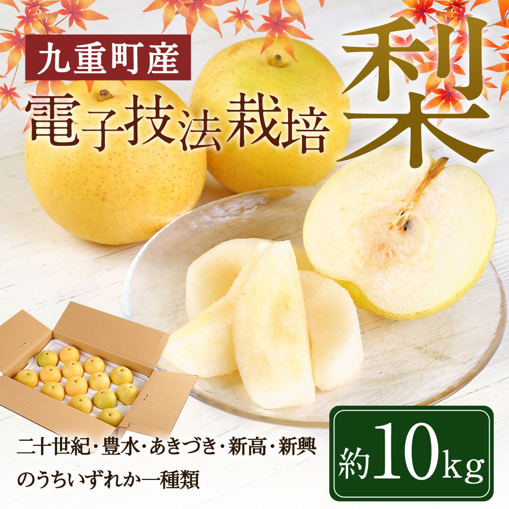 ふるさと納税 九重町産 電子技法栽培梨 10kg 玉井農園 梨 二十世紀 豊水 あきづき 新高 新興 いずれか1種類をお届け 果物 くだもの フルーツ 旬 ナシ なし 2021年9月10日より発送開始予定 送料無料 Mydrap Com