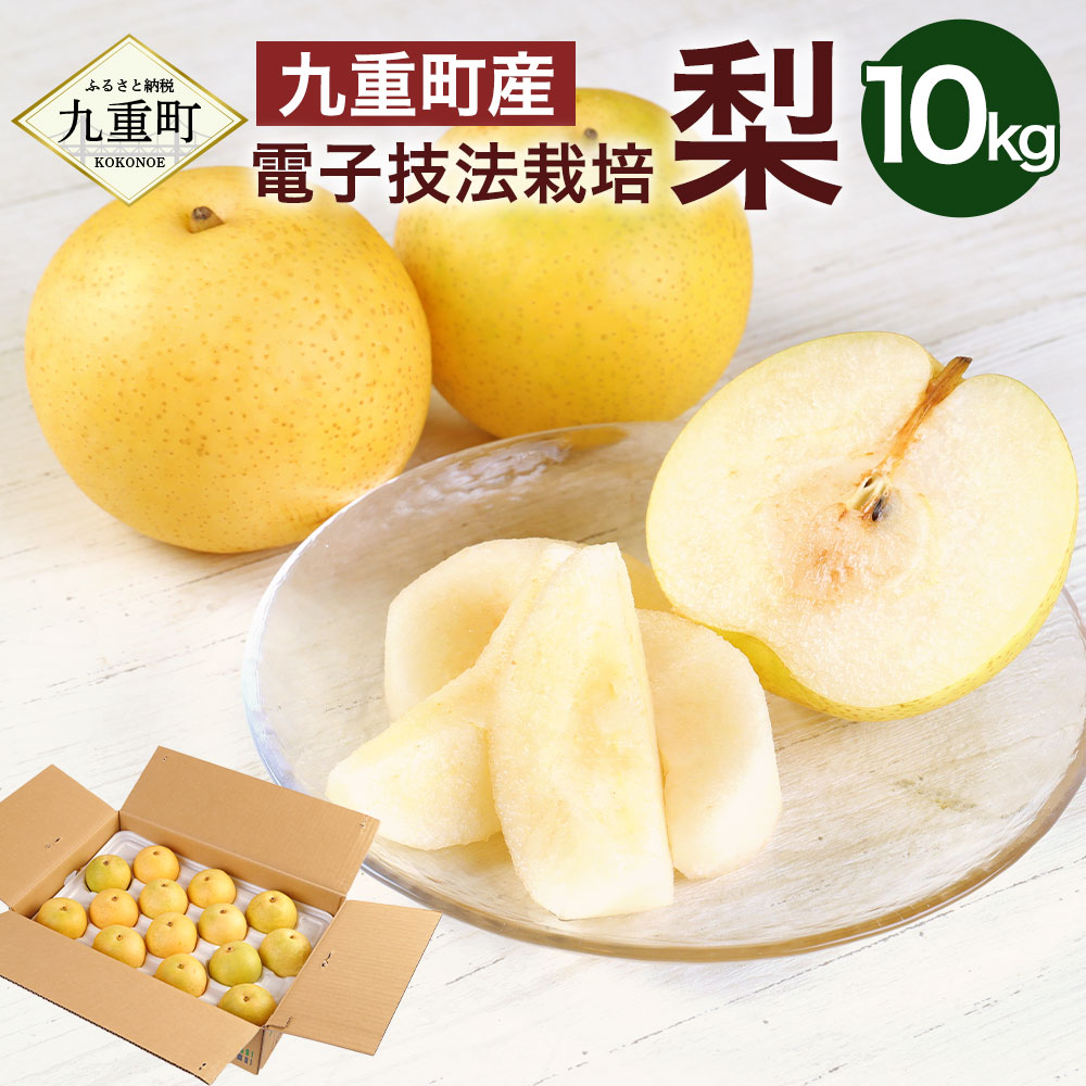 007 二十世紀梨 さんこうえん 鳥取県鳥取市 ふるさと納税 ふるさとチョイス