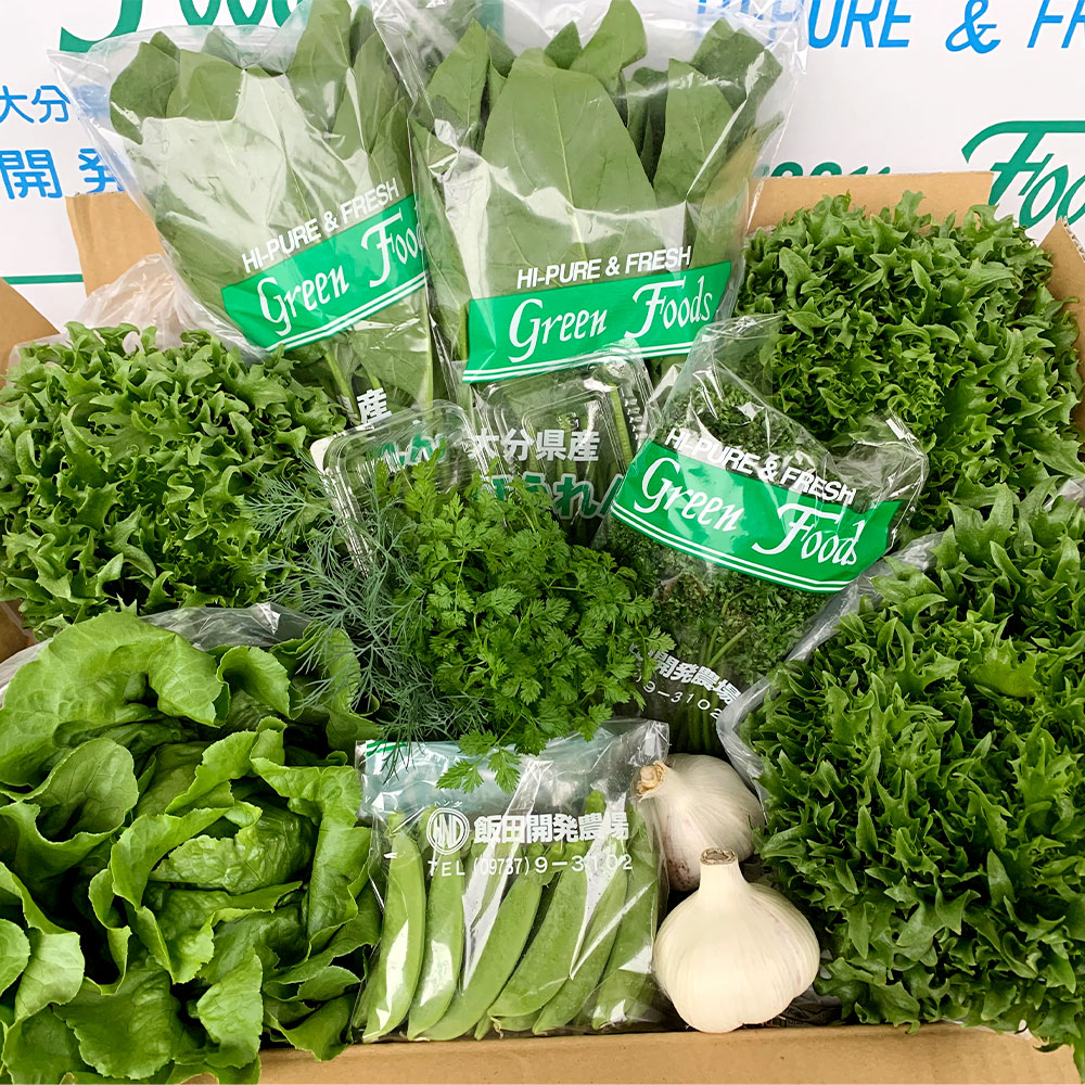 ふるさと納税 大分県産 全力 高原野菜セット 約5kg 5 8品 種類おまかせ フリルレタス ほうれん草 パセリ スナップえんどう トウモロコシ 高原 野菜 採れたて 新鮮 九州産 九重町 大分県 冷蔵 送料無料 Rvcconst Com