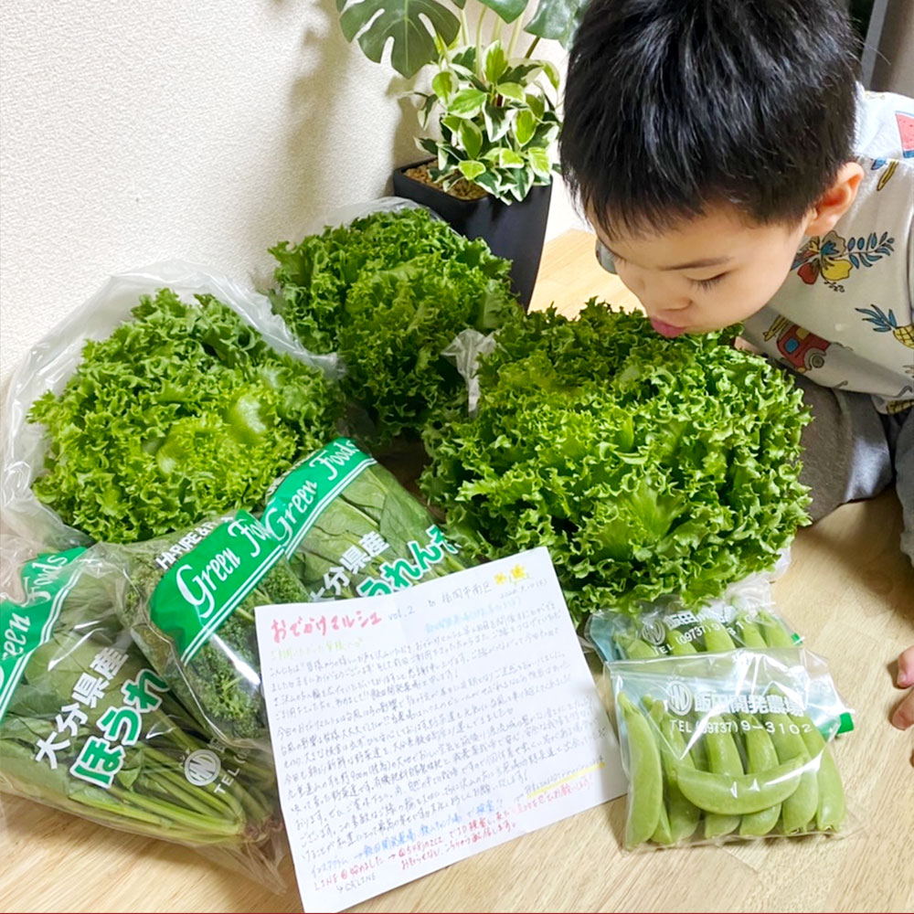 ふるさと納税 大分県産 全力 高原野菜セット 約5kg 5 8品 種類おまかせ フリルレタス ほうれん草 パセリ スナップえんどう トウモロコシ 高原 野菜 採れたて 新鮮 九州産 九重町 大分県 冷蔵 送料無料 Rvcconst Com