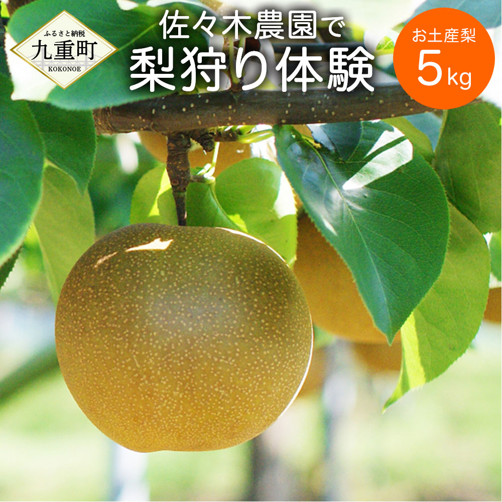 高質で安価 満喫 佐々木農園で梨狩り体験 お土産梨5kg付き 予約不要 人数制限なし 梨狩り 果物狩り フルーツ狩り 持ち帰り ペット同伴可 お弁当持ち込み可 体験 チケット 正規激安 Vancouverfamilymagazine Com 高質で安価 満喫 佐々木農園で梨狩り体験 お土産梨5kg付き 予約不要 人数制限なし 梨狩り 果物狩り フルーツ狩り 持ち帰り ペット同伴可 お弁当持ち込み可 体験 チケット 正規激安 Vancouverfamilymagazine Com