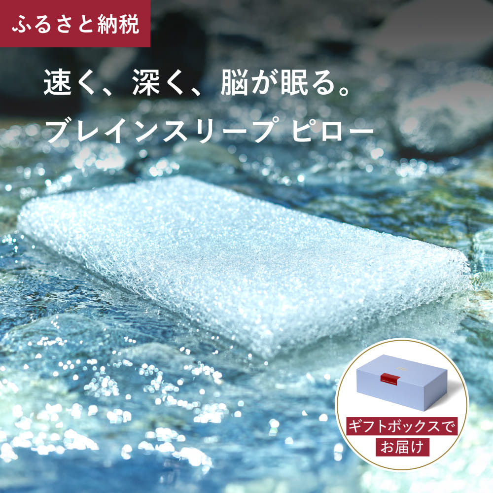 楽天市場】【ふるさと納税】ブレインスリープ ピロー (9グラデーション
