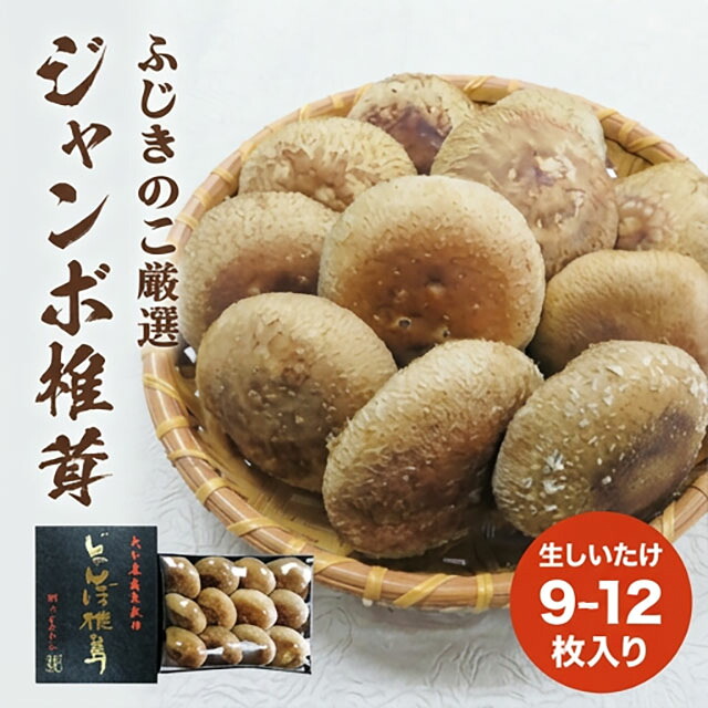 【ふるさと納税】 大分県産 生しいたけ (9~12枚入り) 贈答用 ジャンボ 椎茸 ( 生しいたけ ) 生しいたけ 箱入り 贈答用 贈り物 肉厚 しいたけ 煮物 鍋 焼き バター醤油 トースター オーブンジューシー 冷蔵保存|大分県玖珠町