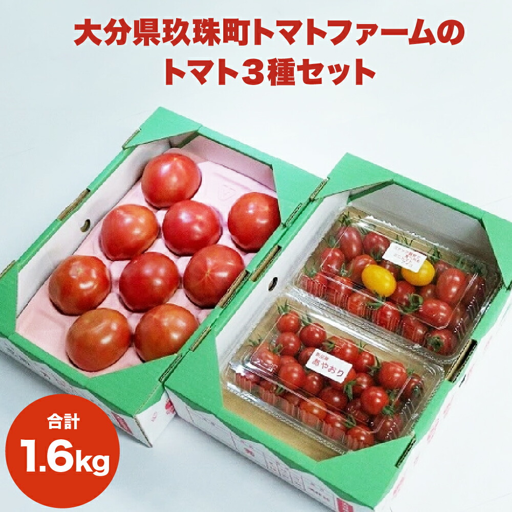 【ふるさと納税】トマト3種セット 1.6kg （観光農園トマトファーム） 大分県 玖珠町 トマト 食べ比べ 大玉 ミニトマト 感激 アイコ あやおり 高原 栽培 農園  甘い 美味 トマトファーム 安心 安全 観光 観光農園 春 冬