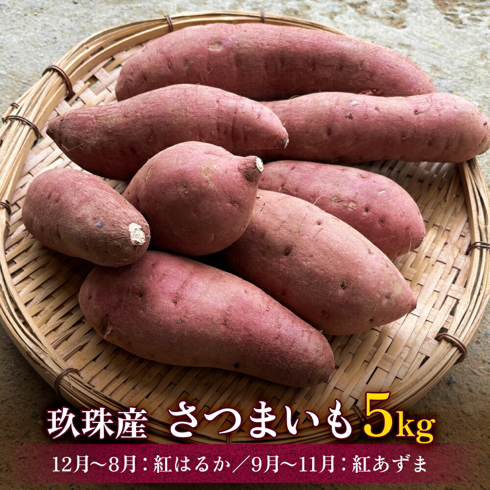 【ふるさと納税】 大分県産玖珠産　さつまいも 5kg - 10kg 紅はるか（12月～8月）紅あずま（9月～11月）