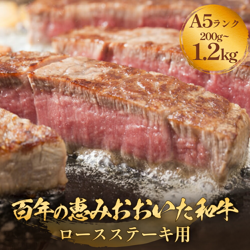 【ふるさと納税】 「百年の恵み おおいた和牛 」A5 ロースステーキ用 200g~1.2kg おおいた和牛 ロースステーキ A5等級 黒毛和牛 大分県産 牛肉 高級肉 霜降り 和牛ステーキ 風味豊か 脂質 種雄牛 血統 高評価 冷凍|大分県玖珠町