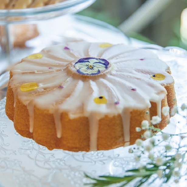 【ふるさと納税】 Pompon Chouchouの 花デコレーションケーキ 5号（15cm） レモンバターケーキ 食用花 ケーキ 押し花 ホワイトチョコ コーティング レモン 押し花デコ ケーキデコ ビオラ 有機栽培 ケーキホール エディブルフラワー 花ケーキ 母の日