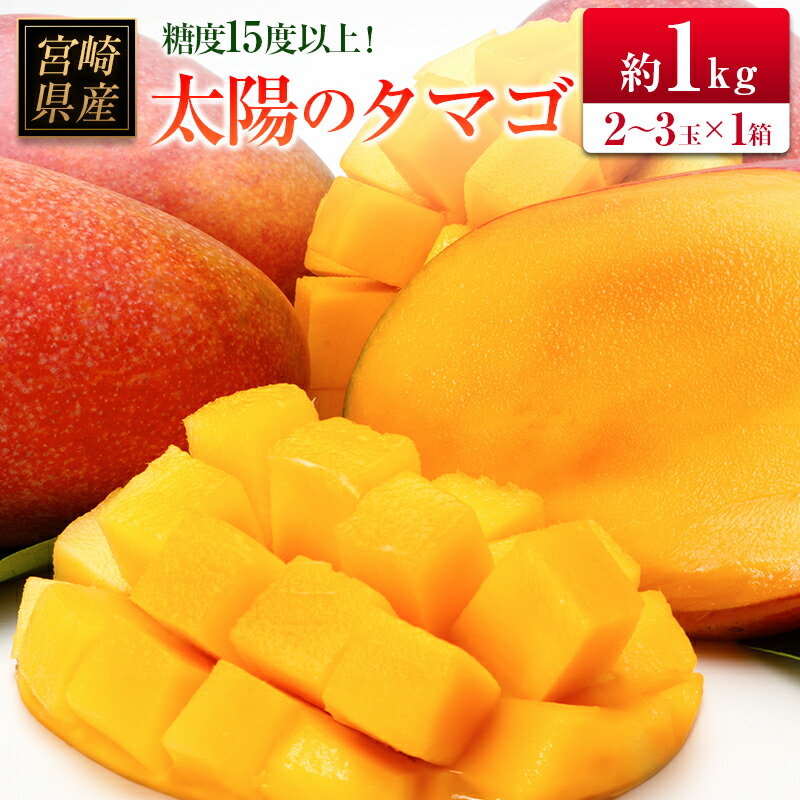 【ふるさと納税】◆糖度15度以上！宮崎県産 「太陽のタマゴ」（合計約1kg）