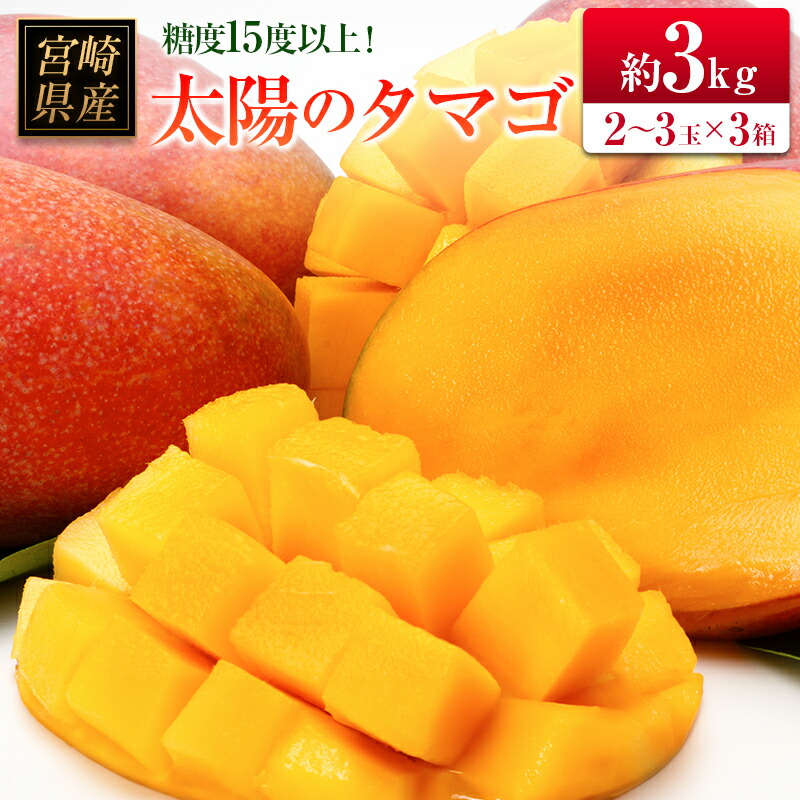 【ふるさと納税】□糖度15度以上！宮崎県産 「太陽のタマゴ」（合計約3kg）