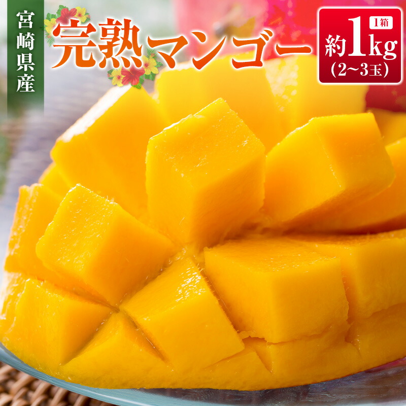【ふるさと納税】◆宮崎県産 完熟マンゴー（合計約1kg）