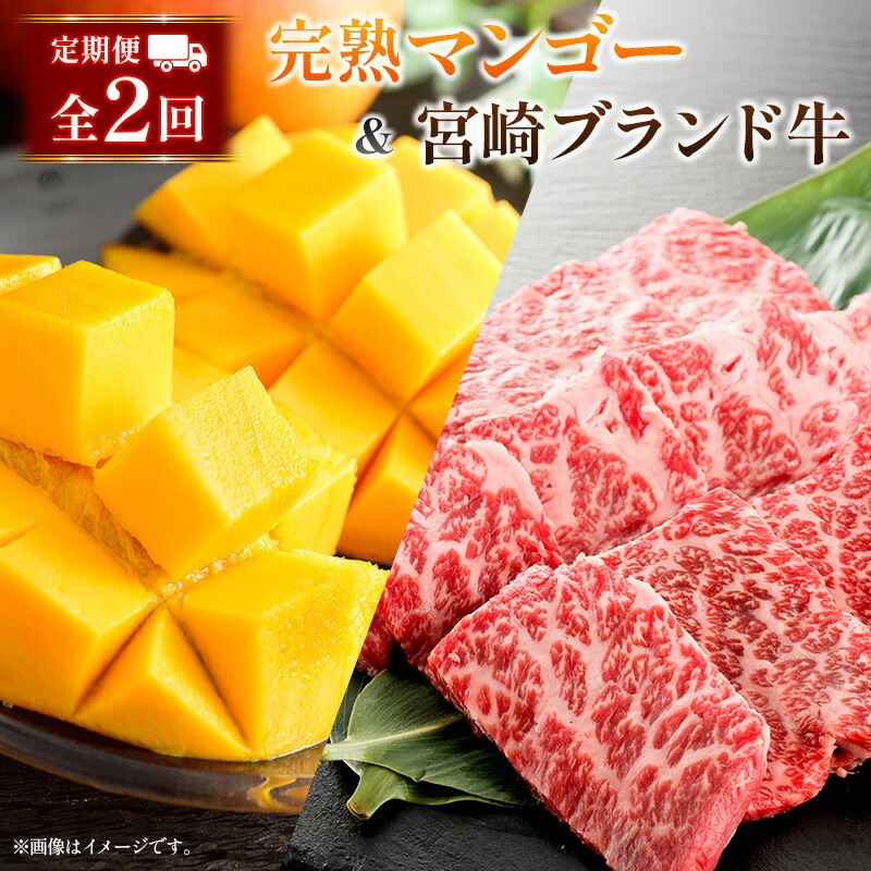【ふるさと納税】定期便 完熟マンゴー 2L×2玉 & 宮崎ブランド牛 計1kg 全2回 宮崎特産 牛肉 フルーツ 果物