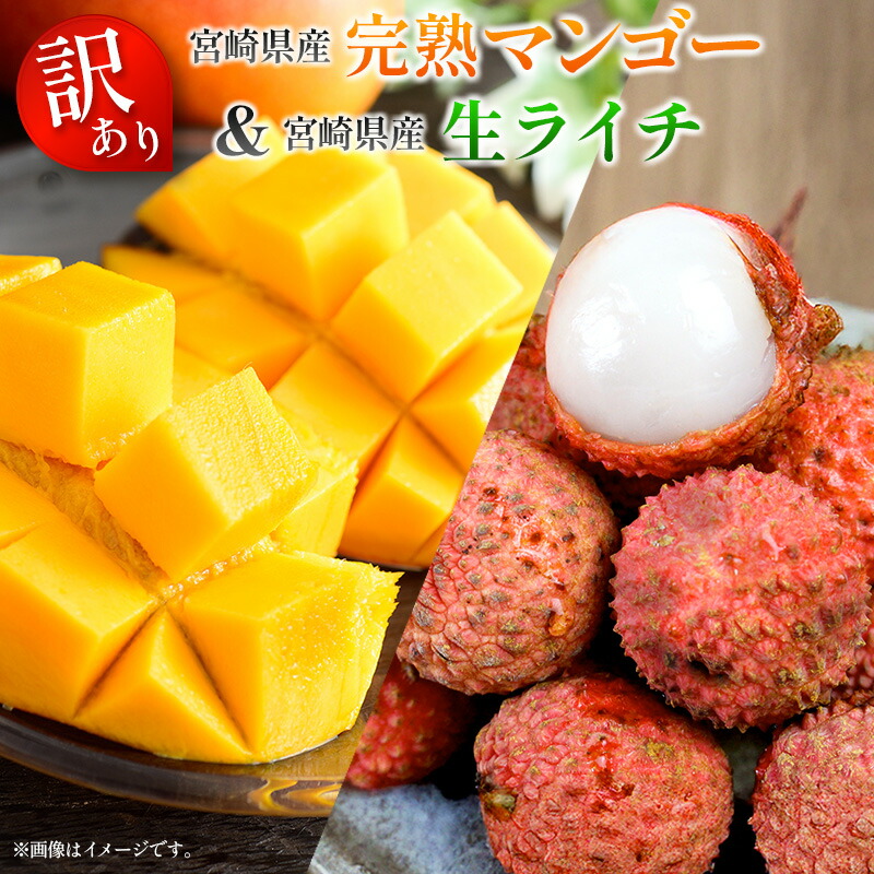 【ふるさと納税】＜訳あり＞ 完熟 マンゴー 約1kg ＆ 生ライチ 300g 果物 フルーツ 宮崎県産 特産 セット