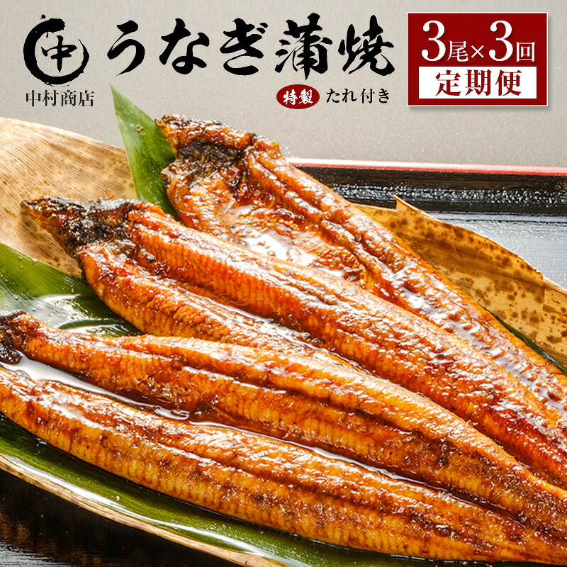 【ふるさと納税】＜定期便＞3尾×全3回 国産 うなぎ 蒲焼 有頭 計1.6kg以上（1回あたり 計543g以上） たれ付き 宮崎県産 鰻 中村商店