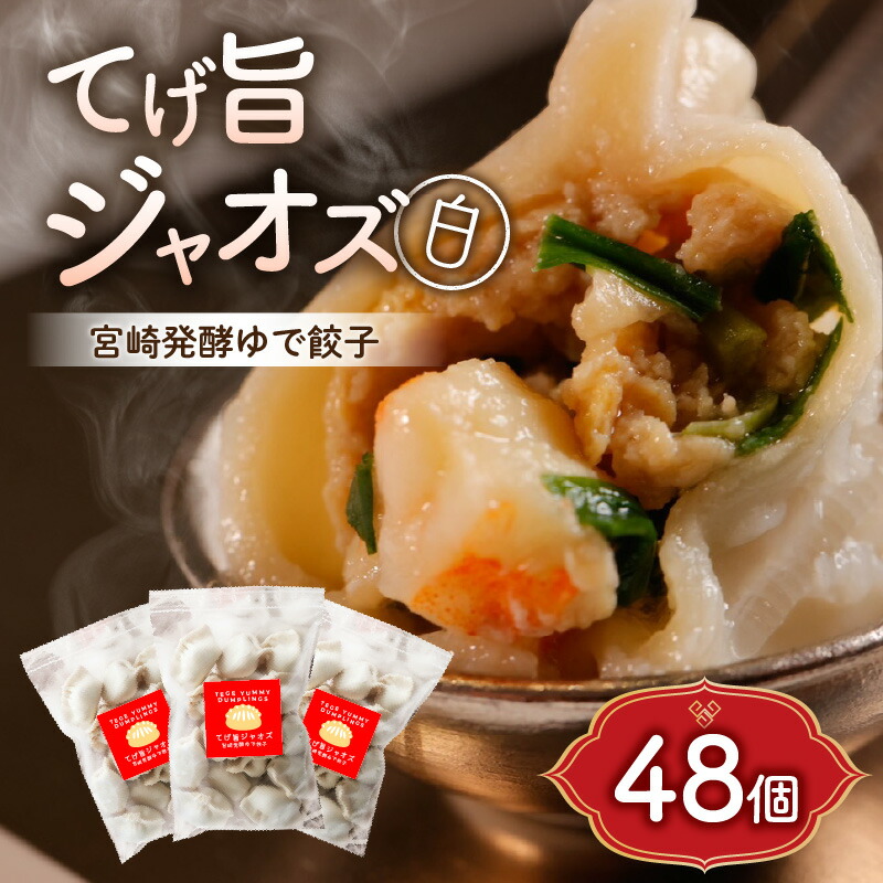 【ふるさと納税】てげ旨ジャオズ【白】6食分 48個入 餃子 冷凍 豚肉 にら 生姜 にんにく 不使用 米糀 餡 栄養 みやざき フード アワード 審査員賞 受賞 中国 コラボ  宮崎県 宮崎市 送料無料