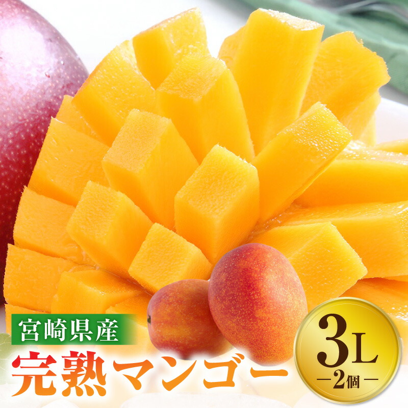 【ふるさと納税】《2025年発送》【期間・数量限定】宮崎特産品 宮崎県産完熟マンゴー 3L×2個 完熟 果物 フルーツ デザート スイーツ 果肉 果汁 濃厚な甘み 芳醇 南国フルーツ 特産品 名物 ご当地グルメ グルメ お取り寄せ 宮崎県 宮崎市 送料無料