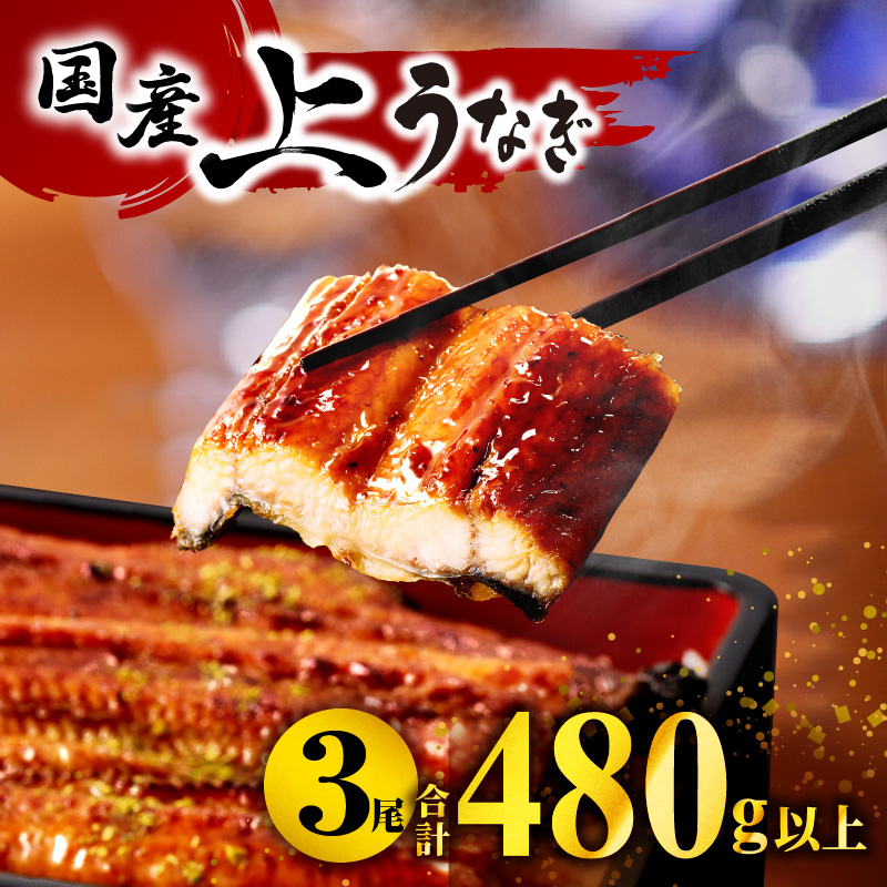 ふるさと納税 高知県産養殖うなぎ蒲焼き 100〜120g 2尾セット fb-0018