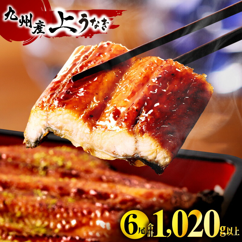 楽天市場】【ふるさと納税】《ランクイン多数！》高評価☆4.79 うなぎ