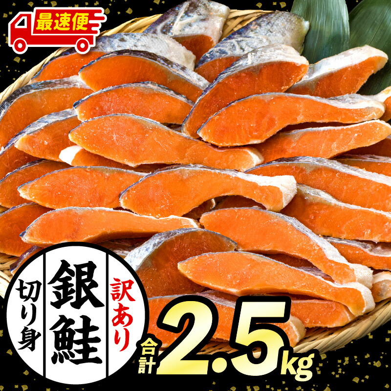 【ふるさと納税】【訳あり】 銀鮭 シャケ 切り身 2.5kg 鮭 新鮮 魚 魚介 魚介類 熟成 脂 脂乗り お弁当 おにぎり おむすび 鮭フレーク 鮭ごはん 西京焼き 蒸し焼き ホイル焼き 家庭用 サケ 海鮮 朝食 和食 お取り寄せ 宮崎県 宮崎市 送料無料《レビューキャンペーン》