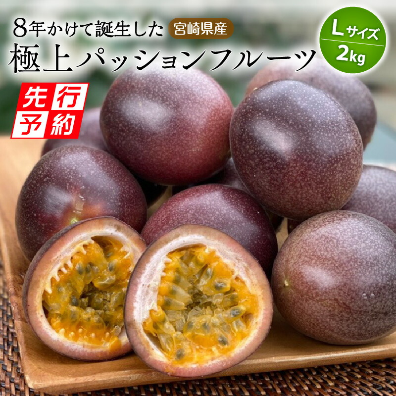 【ふるさと納税】 《2025年発送先行予約》【期間・数量限定】 8年かけて誕生した宮崎県産極上パッションフルーツＬ 2kg ルビースター サマークイーン 10種類 品種 炭酸水 焼酎 ドリンク フルーツ ギフト お土産 宮崎県 宮崎市 送料無料