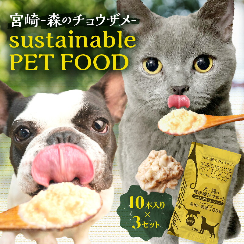 年に1度の父の日公明正大【宮崎市ふるさと納税】