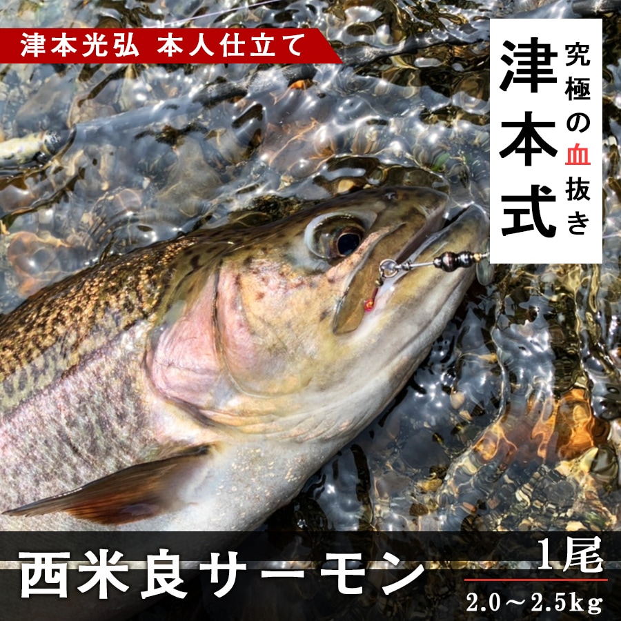 津本光弘 熟成魚 ふるさと納税 長谷川水産 究極の血抜き 魚 津本式 サケ ツモト式 津本式 イワナ ふるさと納税 刺身 マリネ トラウト ホイル焼き 熟成 カルパッチョ 塩焼き 香草焼き 西京焼き 宮崎市 宮崎 九州 ふるさと納税 津本式 西米良サーモン１尾 津本