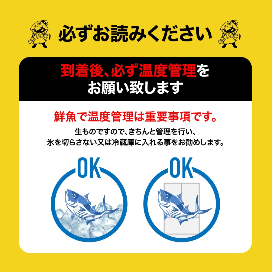 ふるさと納税 津本式 津本式 魚介類 水産加工品 西米良サーモン２尾 津本光弘本人仕立て 宮崎県宮崎市究極の血抜き サケ 津本光弘 長谷川水産 津本式 熟成魚 ツモト式 ふるさと納税