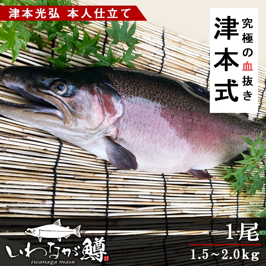 楽天市場 ふるさと納税 津本式 いわなが鱒１尾 津本光弘本人仕立て 宮崎県宮崎市