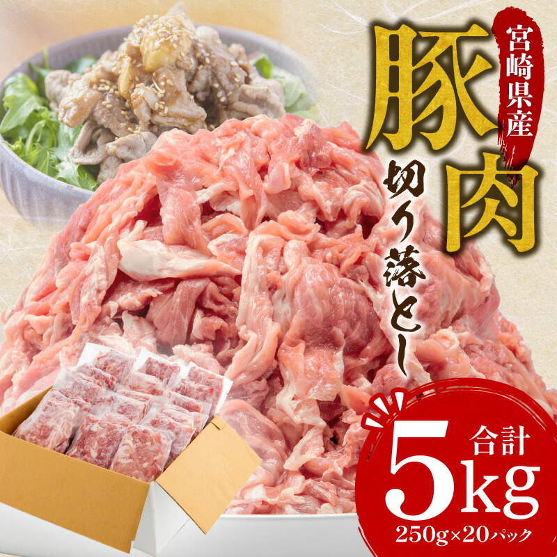 【ふるさと納税】宮崎県産豚切り落とし 合計5kg | 豚肉小分けパック 便利 使いやすい 食品 豚丼 焼きそば 肉じゃが お鍋 におすすめ お取り寄せ お取り寄せグルメ 小分け 豚肉 小分け 肉 お肉 宮崎県産 宮崎県 宮崎市 送料無料《レビューキャンペーン》