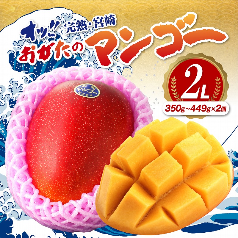 【ふるさと納税】【期間・数量限定】おがたのマンゴー 完熟宮崎マンゴー 2Lサイズ(350～449g)×2個セット のし対応可 限定 マンゴー 完熟マンゴー 宮崎マンゴー 果物 フルーツ デザート スイーツ 贈答 贈り物 ギフト 化粧箱入り 化粧箱 宮崎市 送料無料