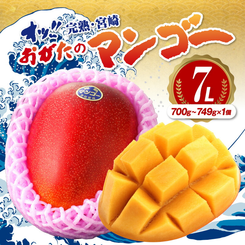 【ふるさと納税】【期間・数量限定】おがたのマンゴー 完熟宮崎マンゴー 7Lサイズ　(700g～749g)×1個 のし対応可 限定 マンゴー 完熟マンゴー 宮崎マンゴー 果物 フルーツ デザート スイーツ 贈答 贈り物 ギフト プレゼント 化粧箱入り 化粧箱 宮崎市 送料無料