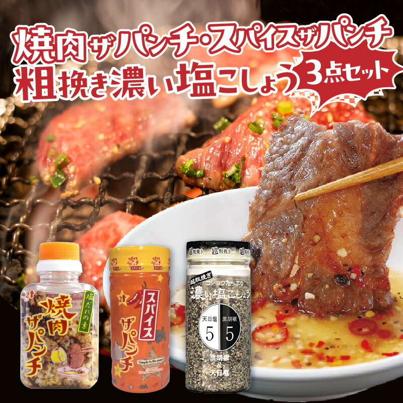 【ふるさと納税】焼肉ザパンチ スパイスザパンチ 粗挽き濃い塩こしょう 3点 セット 調味料 詰め合わせ 料理 調味 スパイス 隠し味 粗びき 塩こしょう たれ アクセント 塩だれの素 ローストガーリック 黒胡椒 スパイシー グルメ お取り寄せ おすすめ 宮崎県 宮崎市 送料無料